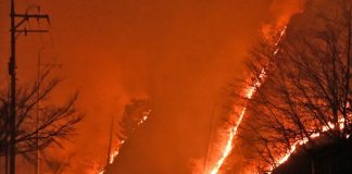 Corée du Sud: Deux pompiers meurent dans un feu de forêt