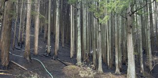 Japon: Le pire incendie de forêt depuis 50 ans est maîtrisé