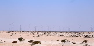 Sahara occidental occupé: Une ONG alerte sur un projet d’une société française visant à produire illégalement de l’hydrogène vert