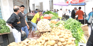 Marché de gros d’El Kerma -La pomme de terre au prix de 50 et 65 Da le kilogramme