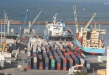 Saisie de 20 conteneurs suspects au port d’Oran: Une opération de grande envergure déjoue une tentative de contrebande aux contenus immoraux