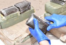 Relizane: Démantèlement d’un réseau de trafic de drogue, plus de 3 kg de kif saisis