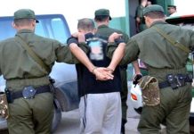 Arrestation de l’auteur de la vidéo sur la mort de trois moutons importés