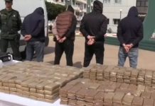 Démantèlement d’un réseau de trafic international de stupéfiants à Tlemcen