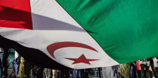 France – Des journalistes sahraouis agressés par des Marocains lors dune marche à Béziers