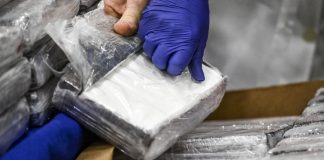 France: Un Marocain arrêté avec 120 kg de drogue