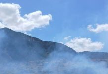 Renforcement de l’arsenal contre les incendies – Trois arrêtés pour protéger les forêts