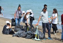 El Tarf: Vaste campagne de nettoyage des plages en prévision de la saison estivale