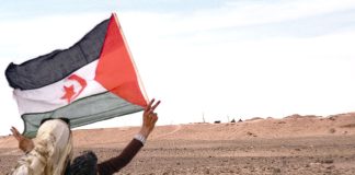 Sahara occidental – Une ONG américaine appelle Washington à œuvrer pour un règlement du conflit