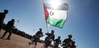 52e anniversaire de la création du Front Polisario – Un parcours jalonné de victoires et d’acquis