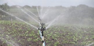 Un tournant dans la gestion de l’eau – L’irrigation agricole bientôt renforcée par les eaux usées traitées