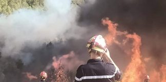 Médéa – 25 incendies maîtrisés en une semaine, aucune victime signalée