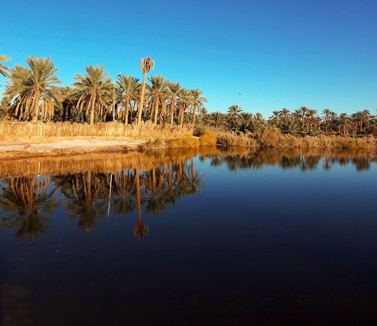 Oran accueille l’art et le patrimoine de la wilaya d’El M’Ghair – Une semaine culturelle sous le signe de l’unité et de la diversité
