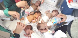 Ghaza – Des centaines de bébés risquent de mourir en raison de la grave pénurie de lait infantile, alerte le Guardian