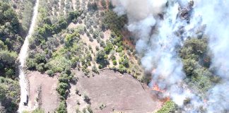 Syrie – Des feux de forêt maîtrisés après 10 jours