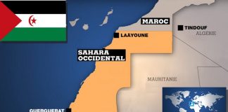 Sahara Occidental – WSRW met en garde l’UE contre toute tentative de contourner les arrêts de sa Cour de justice