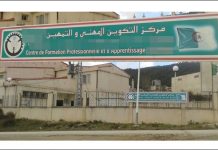 El-Oued – 165 postes de formation ouverts dans les filières agricoles à la rentrée d’octobre 2025
