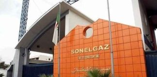 Maintenance estivale – Sonelgaz déploie des moyens renforcés pour la continuité du service