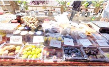 Tizi-Ouzou – Une soixantaine de participants à la fête de la figue de Lemsella