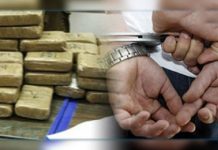 Lutte antidrogue à Oran – Un réseau démantelé, quatre suspects incarcérés après la saisie de 9,7 kg de kif traité