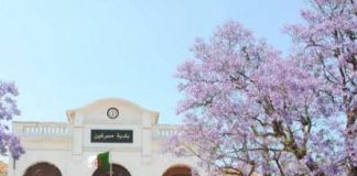 Commune Misserghine – Le RDV du mardi devient un symbole d’espoir