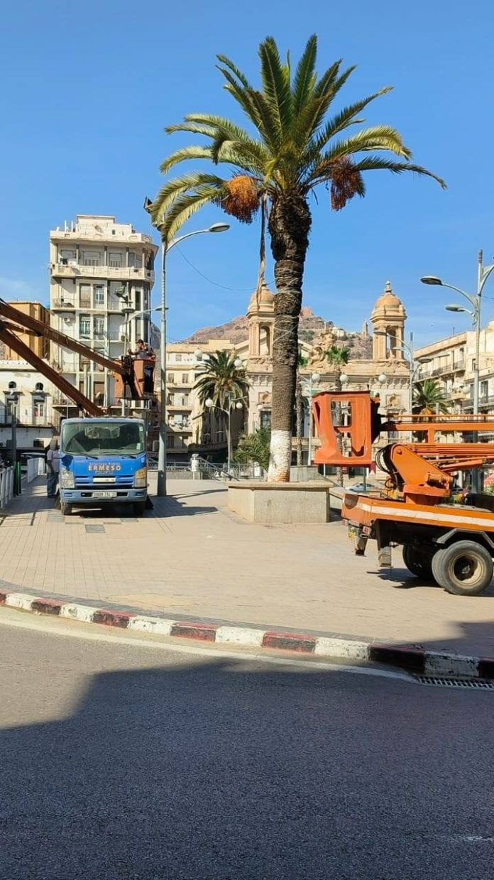 03 - L’éclairage public rétabli dans plusieurs quartiers d’Oran