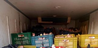 Opération coup de filet de la Gendarmerie – Plus de deux tonnes de viande de volaille avariée prêtes à être écoulées sur le marché