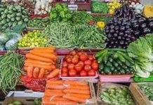 Mascara – Les nouvelles exigences réglementaires pour les fruits et légumes détaillées aux professionnels