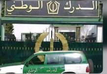 Alger – Démantèlement d’un réseau criminel international de trafic de drogue