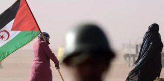 ONU – Le CNASPS défendra la cause sahraouie