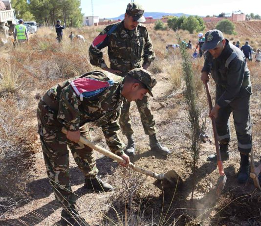 Cap sur le centre – Campagne nationale de plantation d’un million d’arbres dans les wilayas du Centre