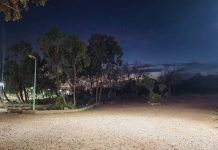 Environnement et cadre de vie – La forêt d’El Menzah au cœur d’un plan de réhabilitation et de valorisation