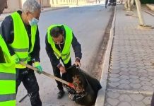 Caves et parties communes des logements publics – L’OPGI lance une opération de nettoyage et d’entretien à grande échelle