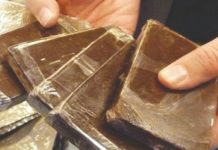 Béchar – Démantèlement d’un important réseau de trafic de drogue