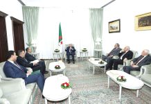 Coopération – Tebboune reçoit les ministres des AE égyptien et tunisien
