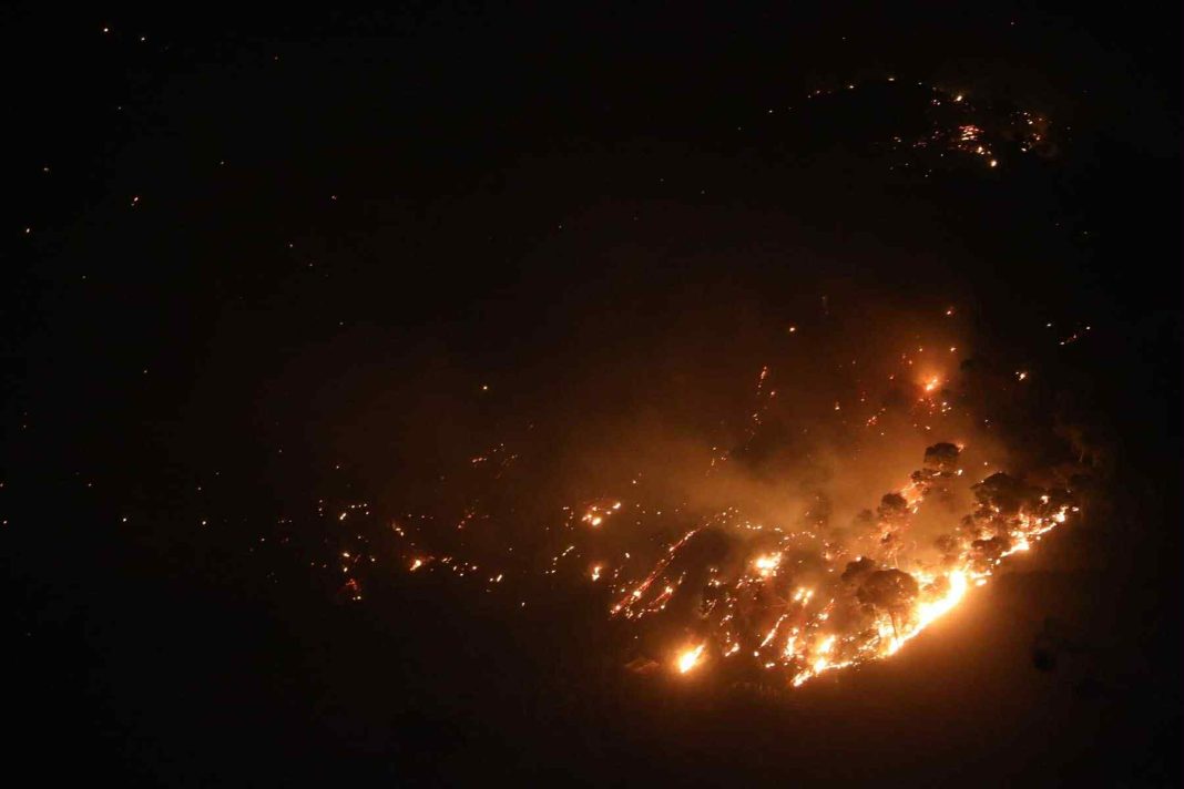 07-Dispositif d’urgence à Tipaza