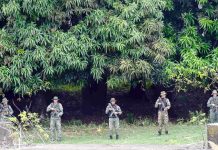 Colombie – Neuf guérilléros tués par l’armée près de la frontière avec le Venezuela