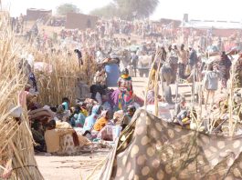 Soudan – Près de 71000 déplacés d’El-Fasher