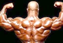 CULTURISME/COUPE D’ALGERIE ” CHALLENGE FITNESS” – Bordj Bou Arreridj accueillera la première édition le week-end prochain