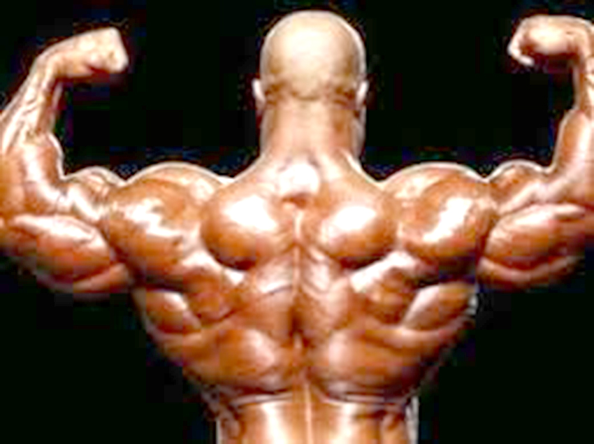 12-CULTURISME COUPE D’ALGERIE CHALLENGE FITNESS