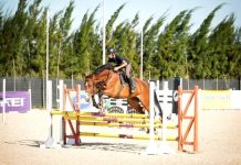 EQUITATION/ CHAMPIONNAT D’ALGERIE D’ENDURANCE – Tiaret accueillera la compétition samedi prochain