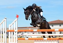 Championnat d’Algérie de saut d’obstacles – Le cadet Boudjellal Iyad et le junior Bencheikh Aymen sacrés à Tipaza
