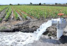 Aïn Temouchent – 09 nouveaux forages artésiens pour renforcer l’eau potable