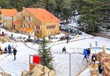 Bouira – Affluence record à Tikjda avec le retour de la neige et des paysages féeriques
