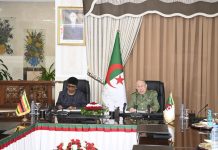 Algérie-Zimbabwe – Le Général d’Armée Chanegriha salue la solidité des relations