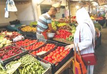 Mercuriale – Le prix de la tomate s’envole à Oran