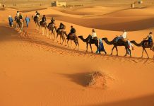 Festival du tourisme saharien – Lancement des préparatifs