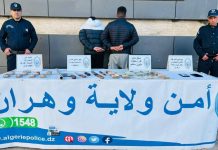 Lutte contre le trafic de drogue – Près d’un kilo de cannabis et 240 millions de cts saisis