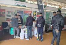 El-Oued – Agro-Souf appelle à vulgariser l’agronomie saharienne