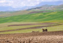 Sidi Bel-Abbes – Remise de 63 arrêtés pour booster 17 000 ha de terres agricoles à Marhoum